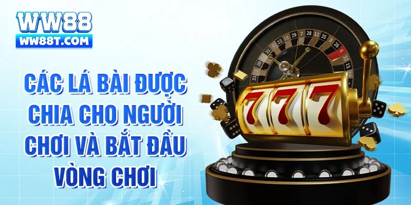 Các lá bài được chia cho người chơi và bắt đầu vòng chơi