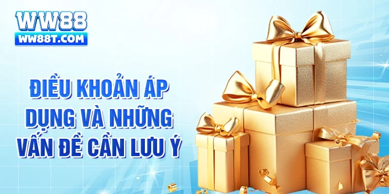 Điều khoản áp dụng và những vấn đề cần lưu ý